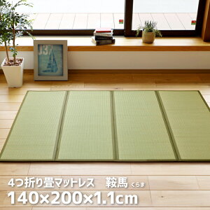 4܂}bgX@Ɣn() 140×200cm _uTCY   Q u  zc }bg  }bgX a qǂ ܂肽߂ x hL t[O u