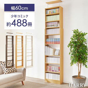 10%OFFN[|聚12/4E5 ˂莮{I 45/60cmyHARRYzn[( ǖʎ[ ˂ {I e I [  X ȃXy[X { bN I[vbN ǖ  RpNg 