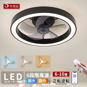 _5NԂ̐iۏ؁^r[TV[Ot@Cg led F 10 t@tƖ V[OCg @ k APPΉ t]@\ ʒ Cz ^ É ȃGl V