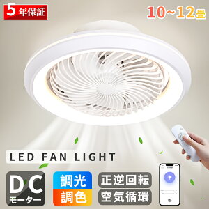 y2025Vo+r[TzV[Ot@Cg LED V[Ot@ t@tƖ V[OCg LEDd T[L[^[  10 12 F APPΉ 啗 @ 