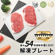 【2026モデル】 解凍プレート 独自ヒートシンクデザイン【国内食品安全検測済】まな板 抗菌 急速解凍 6mm…