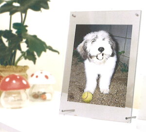 tHgt[ AN z Ǌ| X^h }Olbg NAt[~O tHgX^h