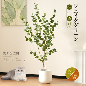 y20`P5{|SS艿zzy4^CvztFCNO[ ϗtA 120cm 150cm 180cm tFCN lHϗtA ^  lHϗA ze CeA A  j    tBJ