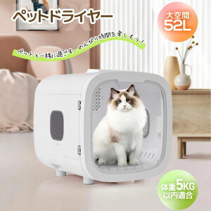 y500~OFFN[|pzybghC[ ybghC[ ybgnEX hC[ {bNX nEX hC[ L  ybg@ @ @   wAhC[ 