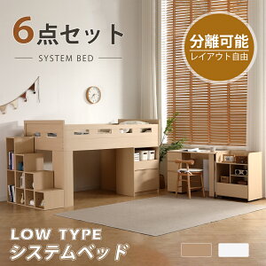 y1000~OFFN[|pzVXexbh 6_Zbg \ CAEgR VO 125cm Ki wK ߑ^X Lrlbg o VXefXNxbh LX^[t