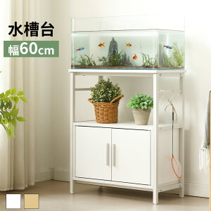ySS艿i&20`P5{z X^h ω׏d120kg Oi 60cm X`[  tbNt z J AWX^[t  bN [I p ؖڒ   b Mы 2