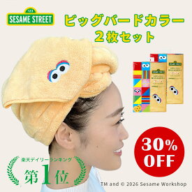 期間限定30％OFF!!【今ならヘアピン付き】【RSL出荷】＼セサミストリート限定デザイン／ 美容師さんが考えた髪のためのタオル マイクロファイバータオル ハホニコ meets セサミ ストリートタオル　ビッグバード2枚セット