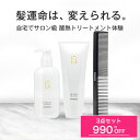 【RSL出荷】レブリ シャンプー・トリートメント・トリメンコーム セット LEVULI Shampoo＆Treatment髪質改善 やわらかい酸熱 くせ うねり ダメージ補修 レブリン酸 美容室専売 サロン専売 フローラルアルデハイディックの香り