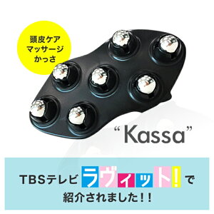 \マラソン中ポイント10倍/<公式>【RSL出荷】【頭皮ケア】 ハホニコプロ トルマリンローラー かっさ【お手軽時短マッサージ】カッサ/美顔ローラー/HAHONICO/サロン専売メーカー/ハホニコ