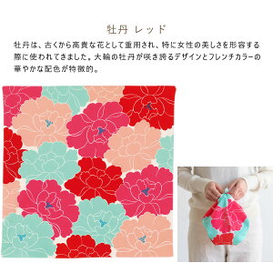 Ђ߂ނ Adeline Klam C~ ӂ낵 50cm tVL 100 I[KjbNRbg100 ٓ `}bg ނ u[ ^[RCY CG[ F bh    蕨 