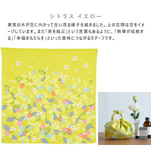 Ђ߂ނ Adeline Klam C~ ӂ낵 唻 傫 70cm tVL 100 I[KjbNRbg obO ނ sN CG[ ^[RCY q CG[   [ 