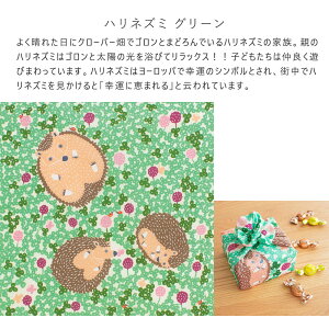 C~ 50 kata kataނ I[KjbN ӂ낵 50cm tVL 100 ٓ  nJ` ͂񂩂 `}bg nlY~  NW  lR tNE  킢 k 