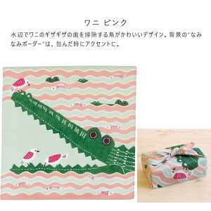 C~ 50 kata kataނ I[KjbN ӂ낵 50cm tVL 100 ٓ  nJ` ͂񂩂 `}bg nlY~  NW  lR tNE  킢 k 