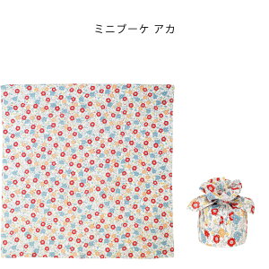 C~ ӂ낵 45 ͂ ނ 45cm tVL  100 ٓ  nJ` `}bg u[P t[ XgCv z[ ~U  킢 k { 蕨 v[