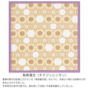 C~ ӂ낵 ȏ 50cm 쓇DZR  tVL LE YU-SOKU 100 ٓ  ׂƂ  ٓ ٓ y^CvB-Ήiz