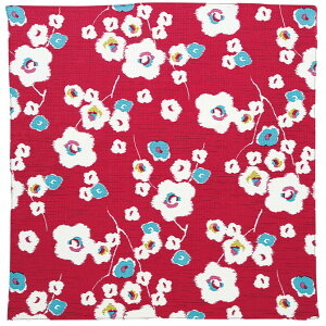 C~ ӂ낵 70 70cm _K[ fB[X 啿 { ٓ ٓ  100   tVL  a a Õ 킢 蕨 v[g Mtg