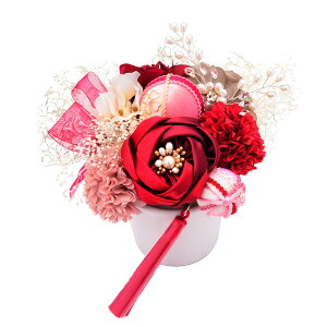 _10%offN[|p 11/4 20`^ Arenca  AeB[NE[U No.8361 15_Zbg  l U  ݂ 񂴂 p[c ig wAANZT[ AJ U