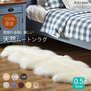 [g O r }bg 0.5C ~ g 100%   O J[ybg VR[g  t@[ \t@ xbhp  уs[XO H~p VRf I[V[Y 