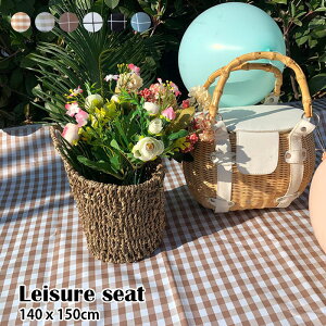 W[V[g  sNjbNV[g `FbN 140×150cm 唻TCY h 􂦂 Ƒp NbV Lv eg  ^ 4l-5l| AEghA ܂ ȒP[  L ^