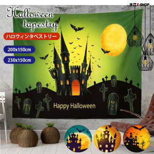 ^yXg[ nEB Ǌ| nEB^yXg[ EH[   Xy[Xߖ ȃXy[X z  k   p[fB[ ͋C 200×150cm 230×150cm  X ct w