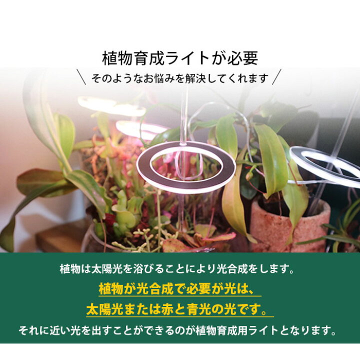 植物育成ライト Led タイマー設定 リモコン付 フルスペクトル 観葉植物 多肉植物 太陽光 観葉 植物灯 調光可能 栽培 テープライト 植物育成ライト Led タイマー設定 リモコン付 フルスペクトル 観葉植物 多肉植物 太陽光 観葉 植物灯 調光可能 栽培 テープライト