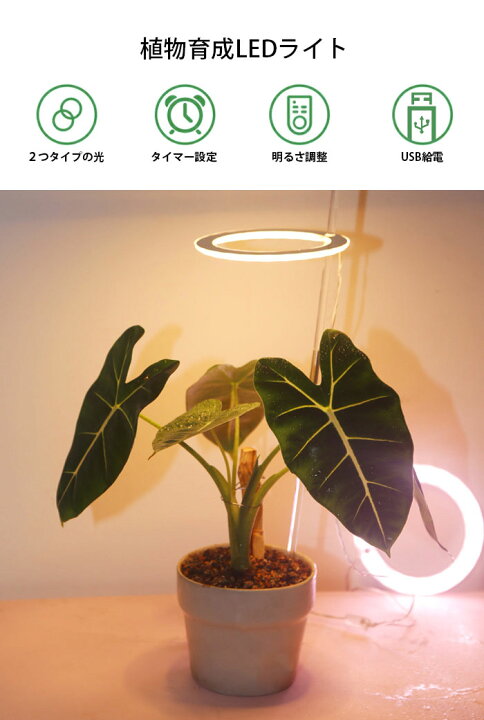 植物育成ライト Led タイマー設定 リモコン付 フルスペクトル 観葉植物 多肉植物 太陽光 観葉 植物灯 調光可能 栽培 テープライト
