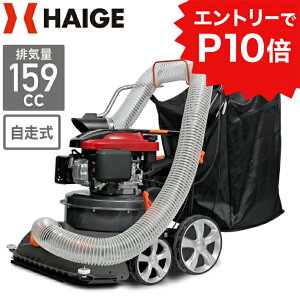 yGg[P10{12/4 20JnznCK[ GWuoL[ e135L  t| Ɩp ƒp |@ HG580-159S-00 GWuA GWuA[ GW