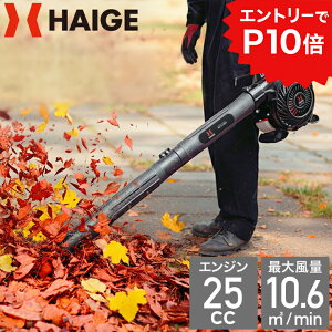 yGg[P10{12/4 20JnznCK[ GW u[oL[ e40LWoobNt 12 @ t| GWu GWuA GWuA[ HG-BV3405y