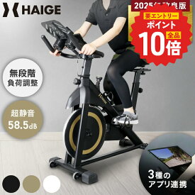 【P最大14倍＆7,000円引クーポン★要エントリー 9/11 1:59迄★】 ハイガー スピンバイク 静音 Zwift Kinomap Fitshow 対応 マグネット式 カロリー・速度・距離・心拍数メーター付 負荷無段階調整 フィットネスバイク エアロバイク ダイエット HG-YX-5006 【1年保証】