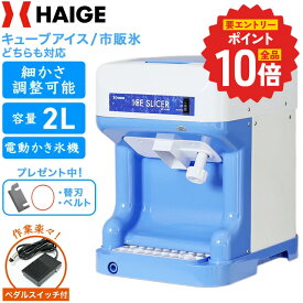 【P2倍 更にエントリーでP+10倍 6/11 1:59迄★】【楽天1位獲得★】 ハイガー かき氷機 電動 容量2L キューブアイス バラ氷 市販の氷対応 アイススライサー きめ細やか シャリシャリ かき氷器 業務用 家庭用 替刃ベルト付 屋台 お祭り 熱中症対策 WF-A188【1年保証】