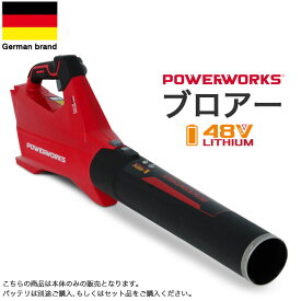 楽天市場 落ち葉掃除 ブロアーの通販
