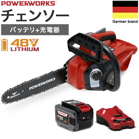 ハイガー チェーンソー 充電式（48Vバッテリーセット）コードレス 電動 静音 小型 軽量 高枝 POWERWORKS P48CS30K4 1年保証