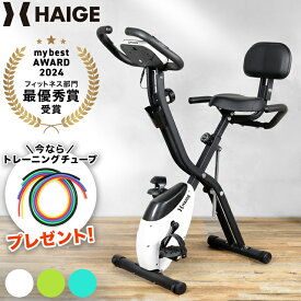 【累計出荷10万台】 ハイガー フィットネスバイク エアロバイク 折りたたみ コンパクト 静音 家庭用 心拍数メーター 負荷10段階 小型 軽量 トレーニングバイク ルームバイク HG-QB-J917B 【1年保証】