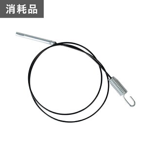 �I�[�K���C���^HG-K1101Q(�����i�R�[�h�Fzlst1332-110n)