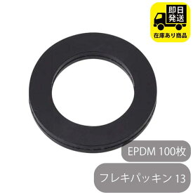 フレキパッキン 13 EPDM 100枚 水回り修理 配管部品 DIY用品 住宅設備 業務用パーツ 耐久性