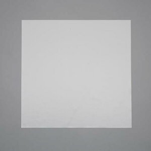 GXR (ESCO) EA997WB-41 300x 300x3.0mm VRS EA997WB-41 y2Zbgz