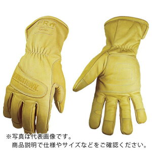 YOUNGST v FREH[^[v[t AeBbg Pu[(R) L ( 12-3290-60-L ) YOUNGSTOWN