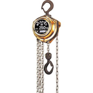 ۈ zCXg}^yʃ`F[ubN250KgE2.5m ( HM-K2525 ) ۈ`FubN()