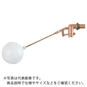 ���i�摜