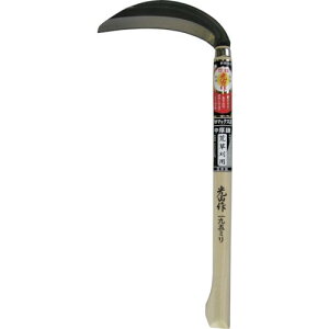 L RN}bNX|Аn ( HTS-5081 ) ()L