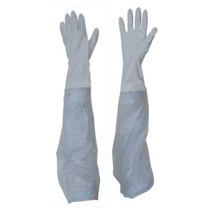 g rJo[t rjX^[rJo[t M ( 767-M ) ()aR[|[V