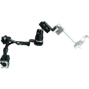 NOGA TeCgACE~j ( SE1000 ) mK