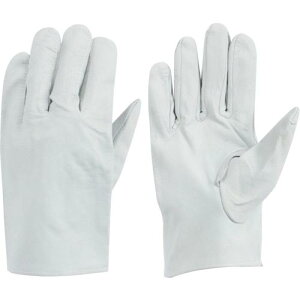 ySALEizg ؕ\v NXgC (10o) ( 482-C ) ()aR[|[V