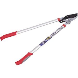 ySALEizGS V^A~͑}(`Fbg) ( 2044 ) L{V()