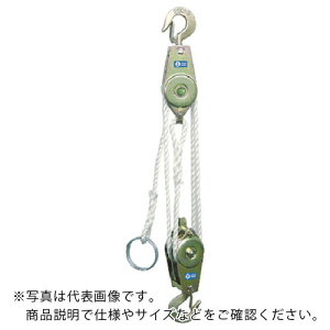 HHH [vzCXg 250kg g3m ( RH250 ) ()X[Gb`