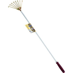 ؍H JJ U^F(A~pCv) ( 10115 ) (L)؍H