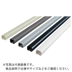 Panasonic �X�b�L���_�N�g�{�� �A�C�{���[ ( DAS060W )