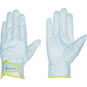 yMG[X Y{v CW[EAecL(CG[Et[TCY) ( TH-502 ) yMG[XWp()