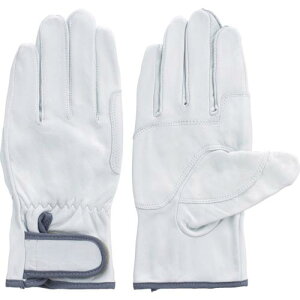 �x�m�O���[�u ���Y���{�v��� ���C���W���[�{�[�C ��LL ( 3624 )