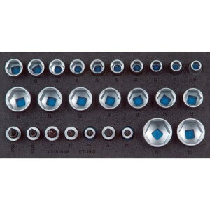 GEDORE �y���ؔp�ԁz�\�P�b�g�Z�b�g1/2 1500CT1�]19IS ( 2308924 )